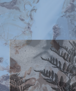 Culture for the Planet