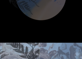 Culture for the Planet