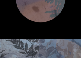 Culture for the Planet