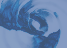 Culture for the Planet